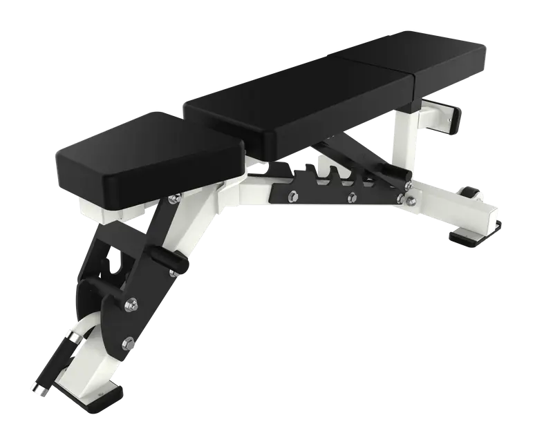 ARS | Alpha Multi Adjustable Bench Ladder Style