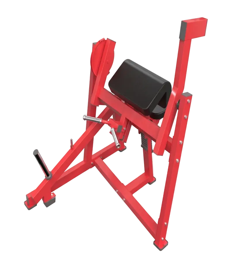 HMR | Bicep Curl