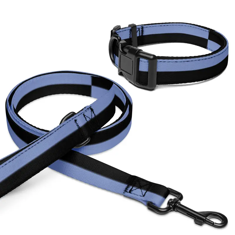 Pet collar & leash