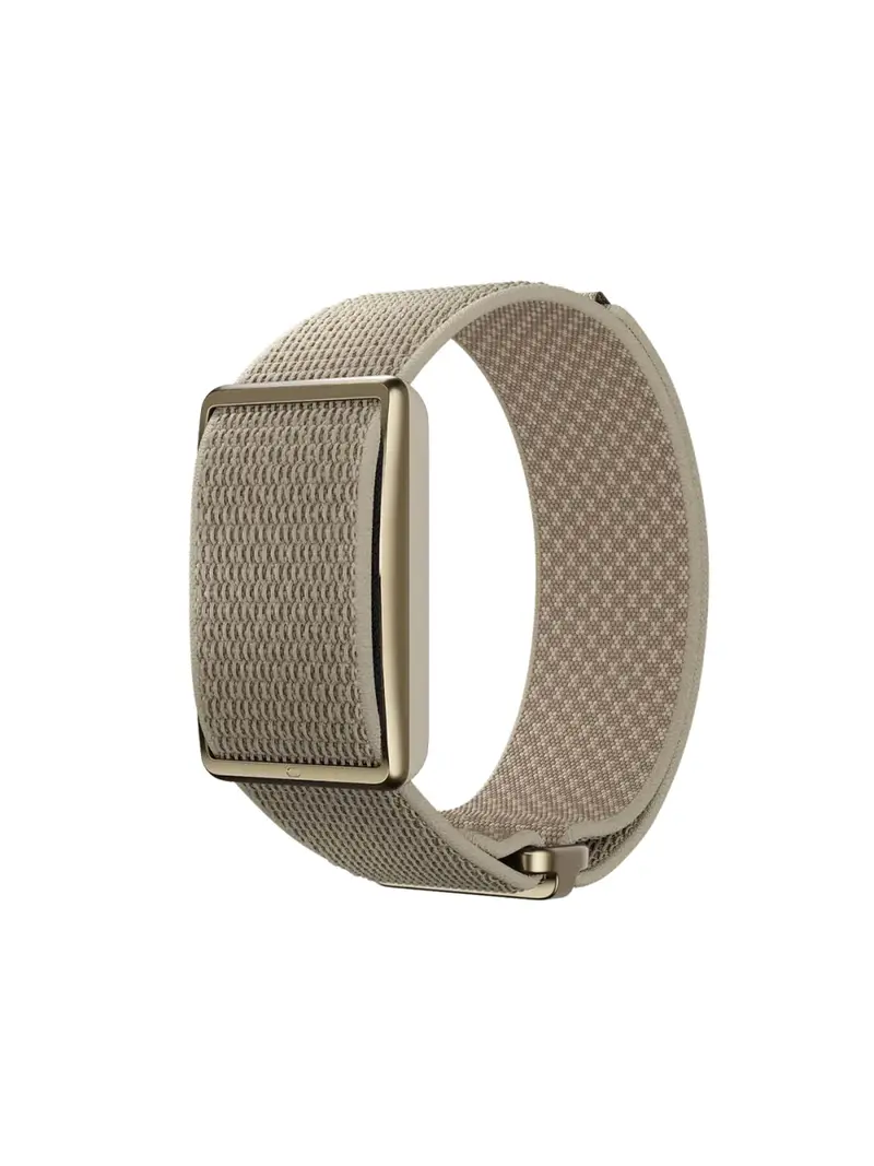 POLAR LOOP