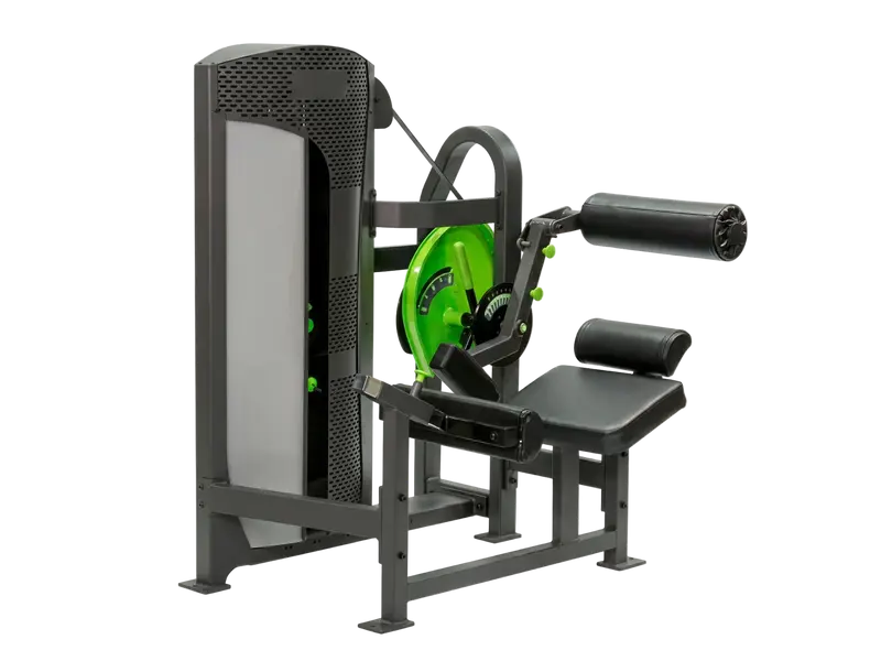 PRM | Low Back Extension